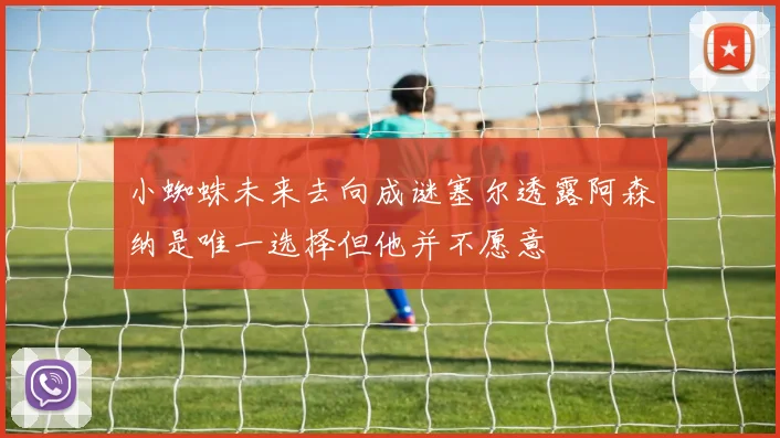 小蜘蛛未来去向成谜塞尔透露阿森纳是唯一选择但他并不愿意